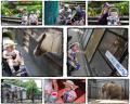 初めての動物園Re