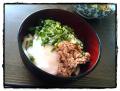 ランチ!ネバネバうどーん