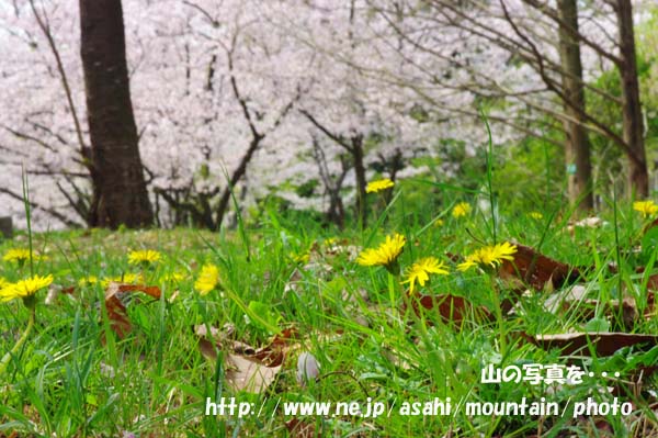 2011_04_11_K20_15.jpg