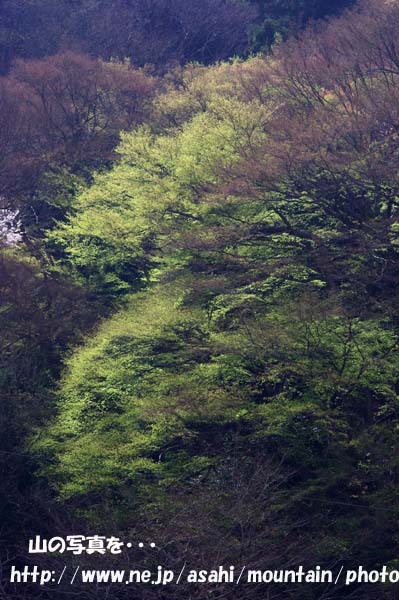 2012_04_15_28.jpg