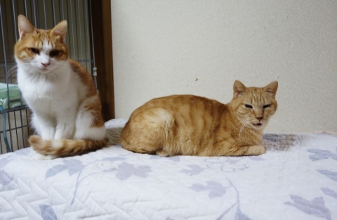 DSC03044.jpg