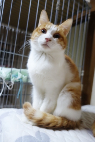 DSC03047.jpg