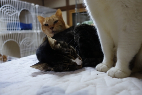 DSC03048.jpg