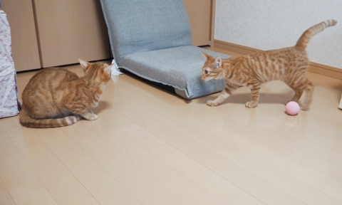 PA050272.jpg