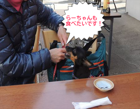 猛抗議中