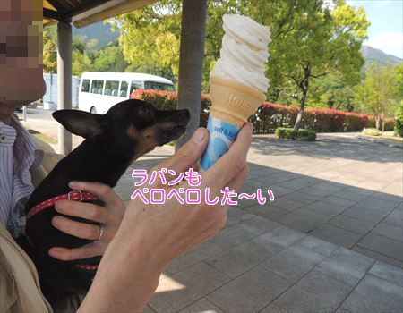 ソフトとラパン