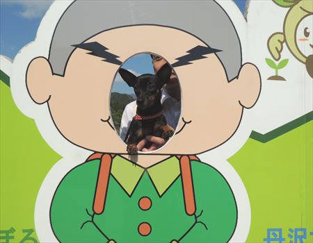 登くん