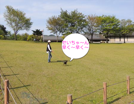 DZEVmlUXtOmqXHl1367462204_1367462321.png