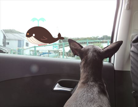 j1mxK0tda45bAoc1367704218_1367704285.png