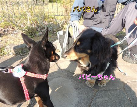 sl9Y4IERF5vSbgJ1367232096_1367232191.jpg