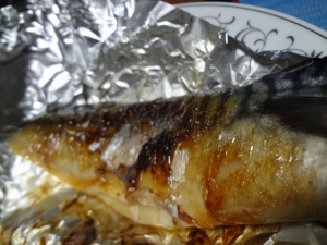 DSC00668.jpg