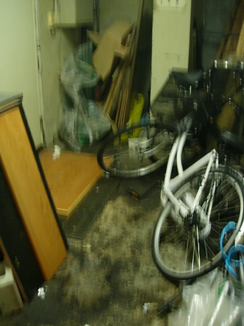 DSCN3552.jpg