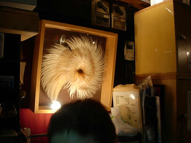 DSCN4223.jpg