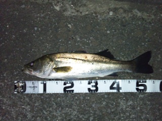 20120805.JPG