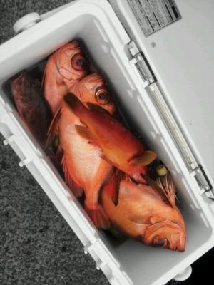 20120605002.jpg