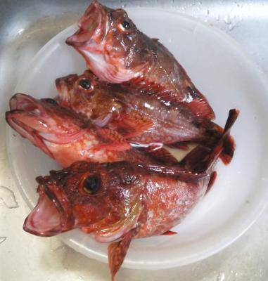 20120605004.jpg