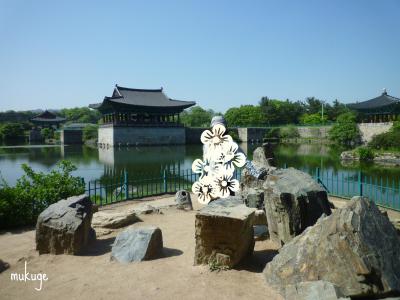 雁鴨池 全景