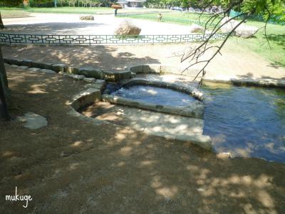 雁鴨池 水溝