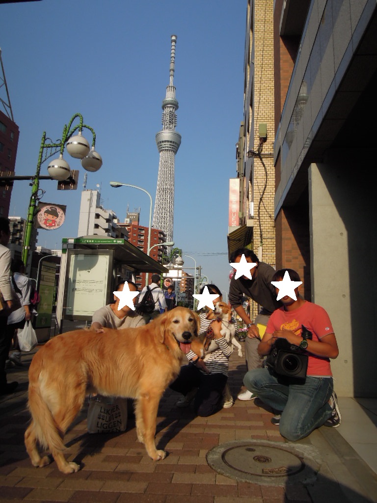 集合写真 - コピー