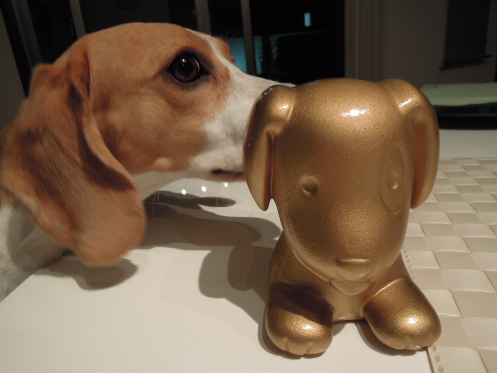 DSCN3203.jpg