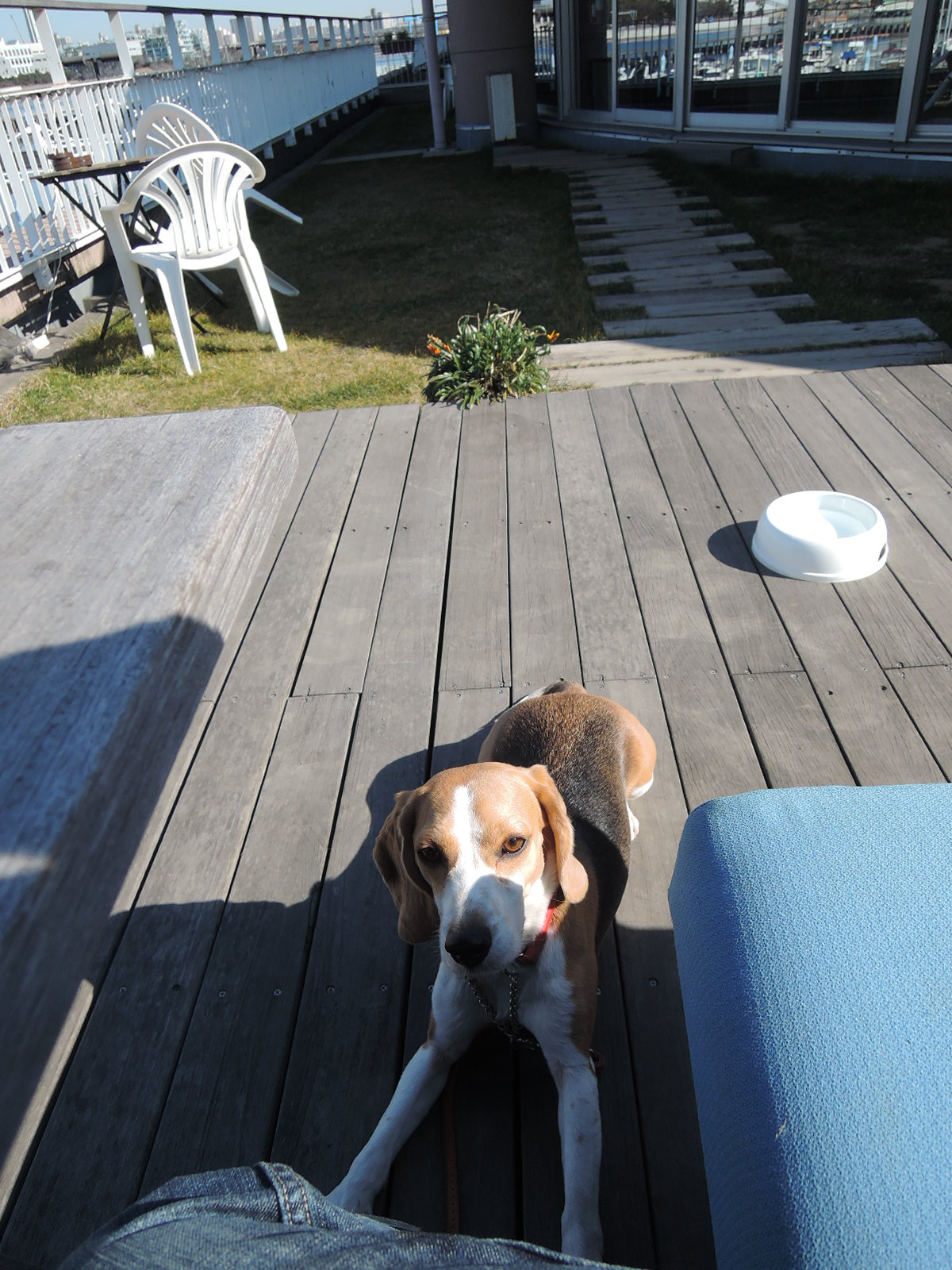 DSCN4580.jpg