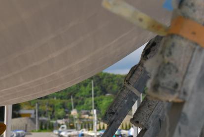 DSC_2786s.jpg