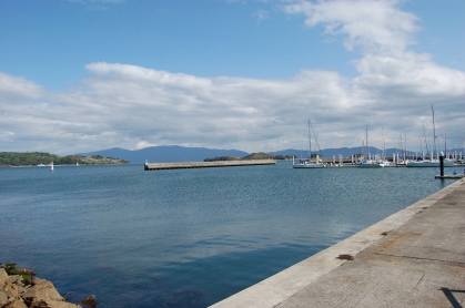 DSC_8284s.jpg