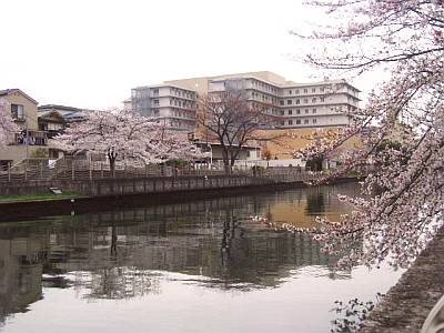 1205-130410.jpg