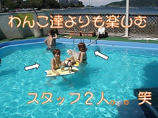 プール2