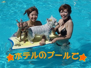 プール3