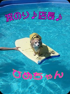 プールひーちゃん