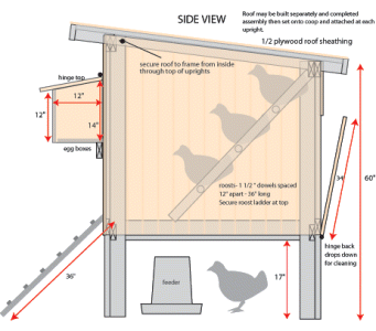 Denny Yam: Diy chicken coop projects