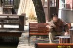 330京都オフクーさん撮影7ダンディーピンボール