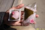 330京都オフクーさん撮影11桜餅