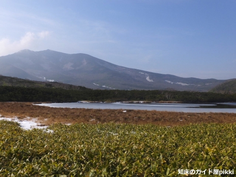 2014_11010116.jpg
