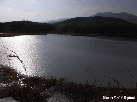 2014_11010126.jpg