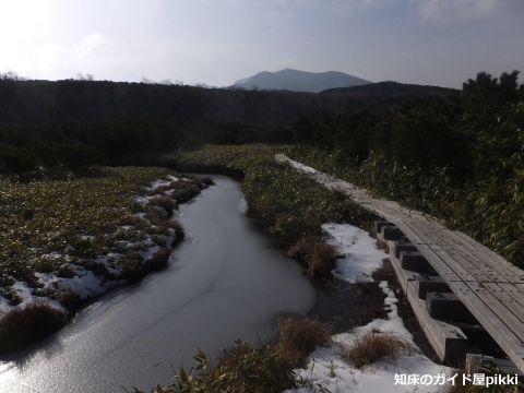 2014_11010127.jpg