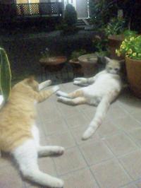 120727_210357_06.jpg