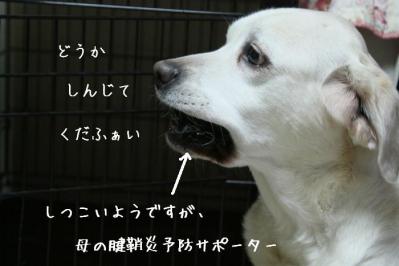 DPP_0178.jpg
