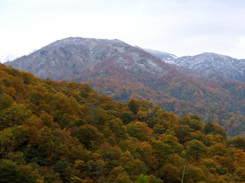 越道峠付近からイブリ山方面の様子 -2012.10.24(水)