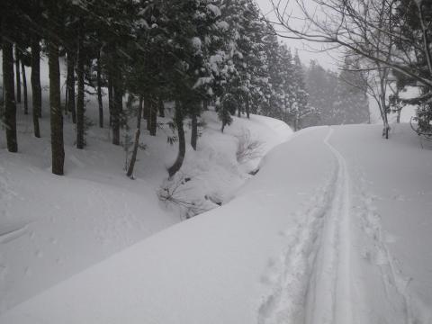 ワイラビ、新田山。いつもの地点雪少なく渡れなかった -130106(日)