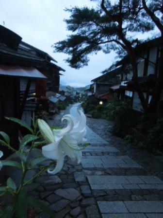 白百合咲く坂道