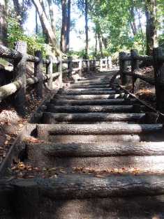 階段