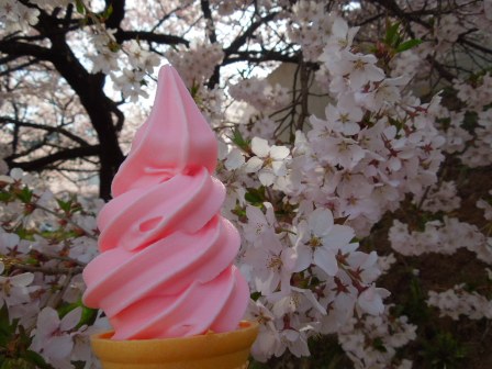 桜とソフト
