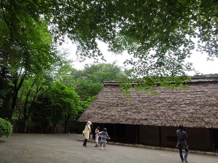 緑陰