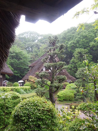 雨宿り