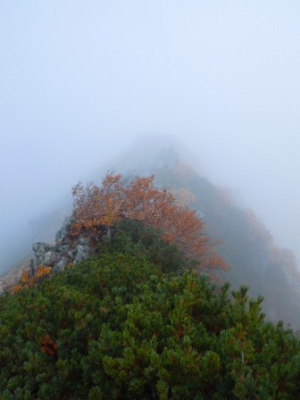 将基頭山方面
