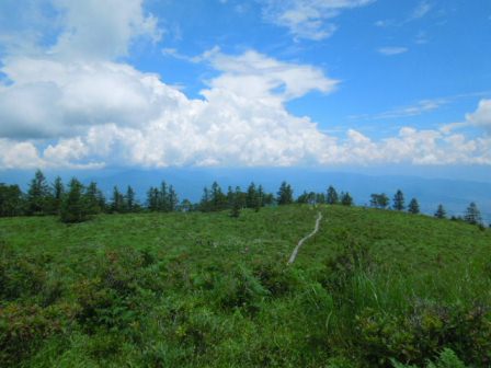 山頂から振り返る