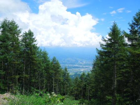 登山口から