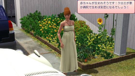 20120515d1.jpg